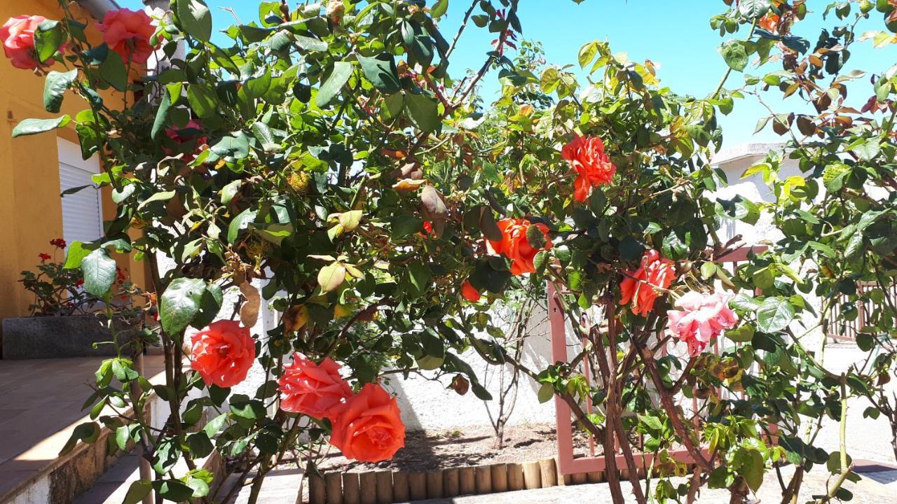 Casa Els Rosers Wifi L' Escala Exterior foto